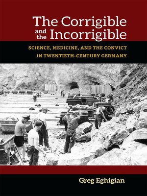 cover image of Corrigible and the Incorrigible